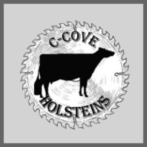 C-Cove 300x300