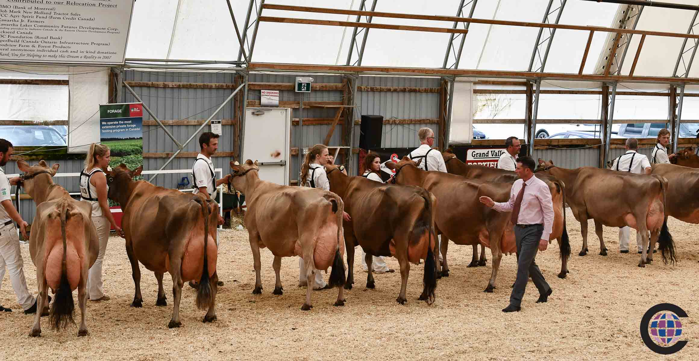 Ontario Summer Jersey Show 2023 - Cowsmo