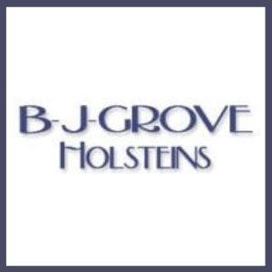B-J-Grove Holsteins 300x300