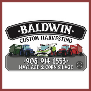 Baldwin 300x300