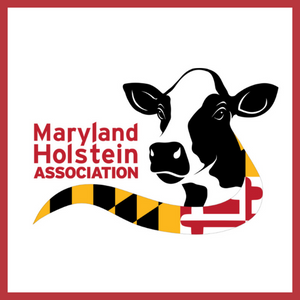 Maryland Holstein 300x300