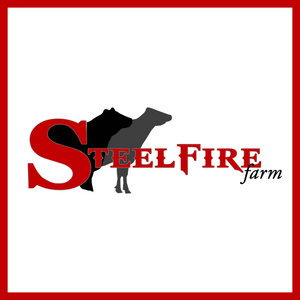 Steelfire 300x300