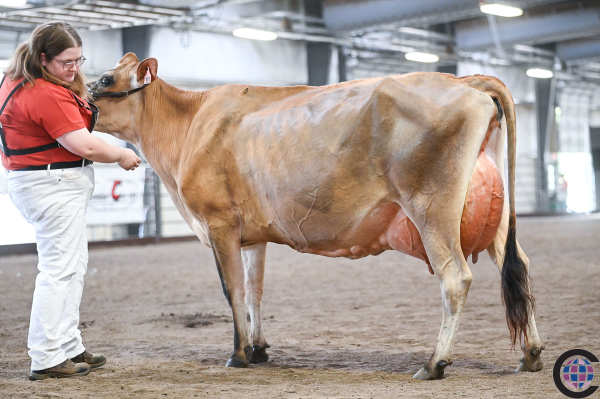 放送大学 割引 Jersey Championship Summer Wisconsin Show Cowsmo - 2022 トップス