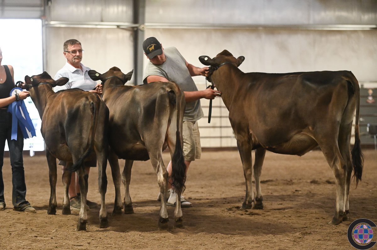 Wisconsin Summer Championship Jersey Show 2022 - Cowsmo