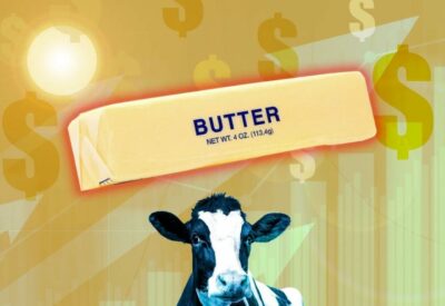 Butter_cowsmo22