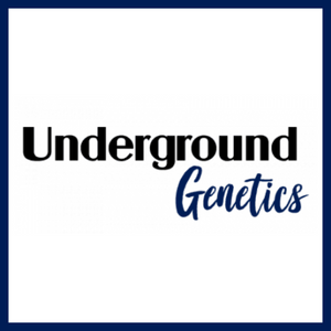 UndergroundGenetics 300x300