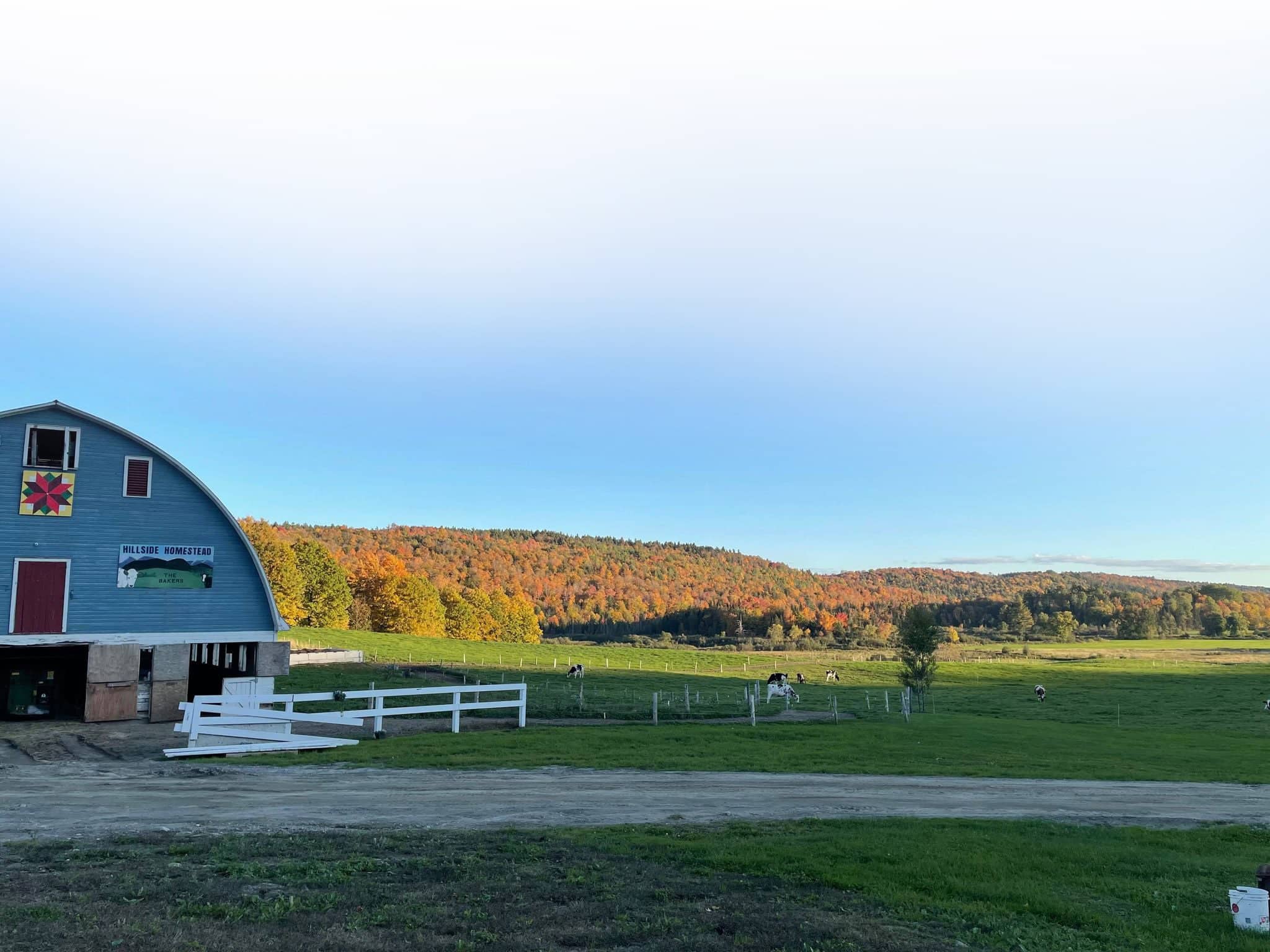 Hillside Homestead Farm Building a Dream in Northern Vermont Cowsmo