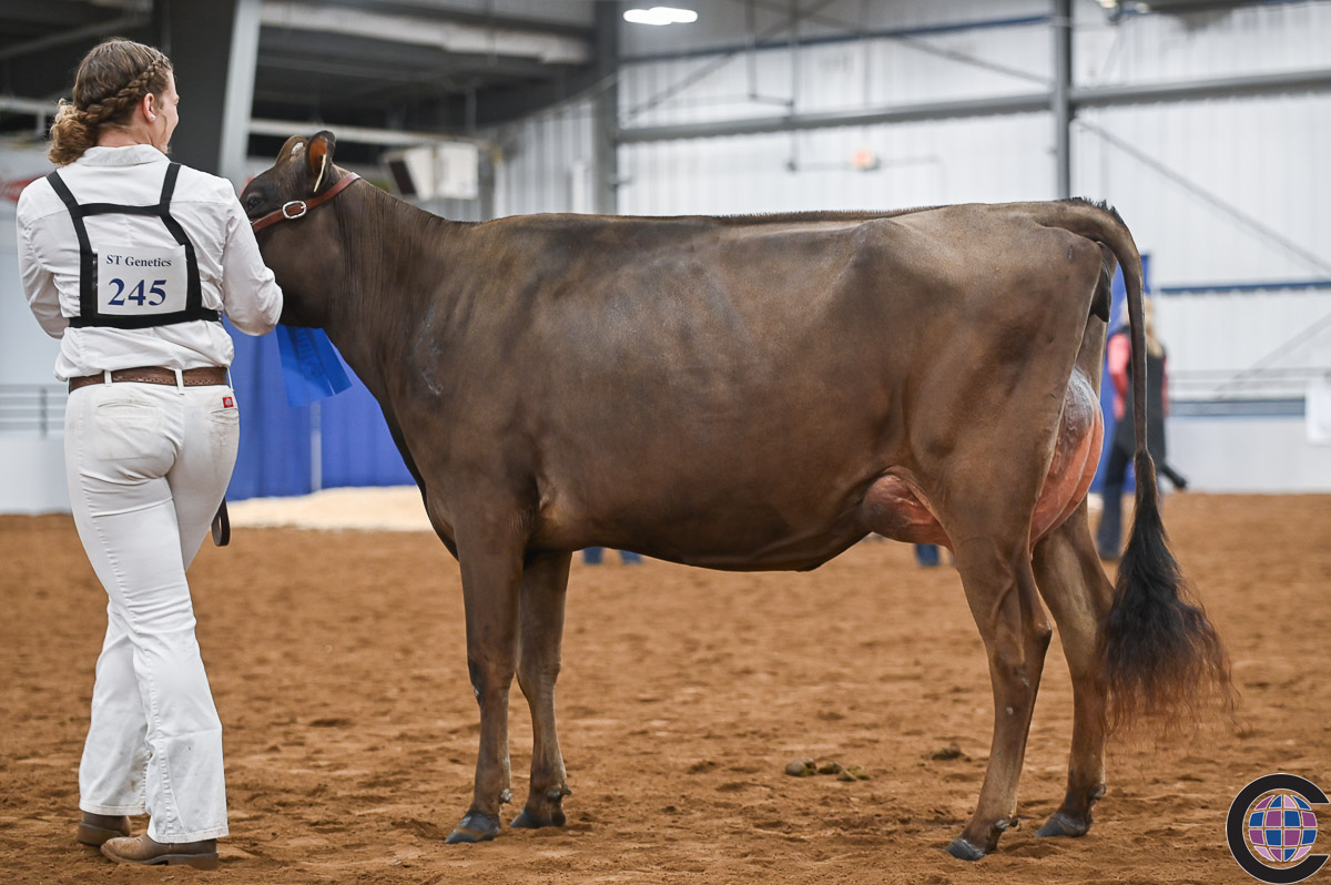 New York Spring Junior Jersey Show 2023 - Cowsmo