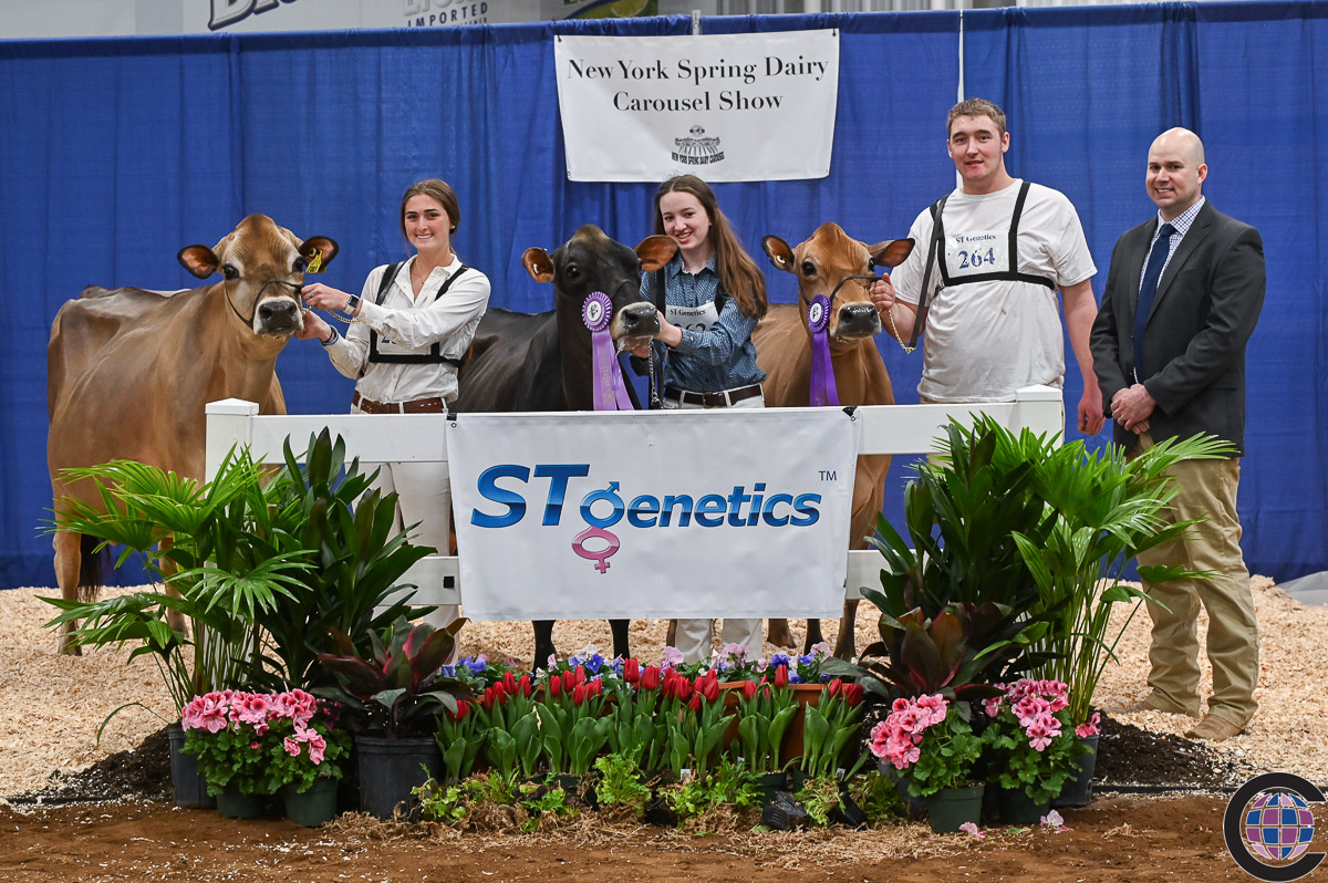 New York Spring Junior Jersey Show 2023 - Cowsmo