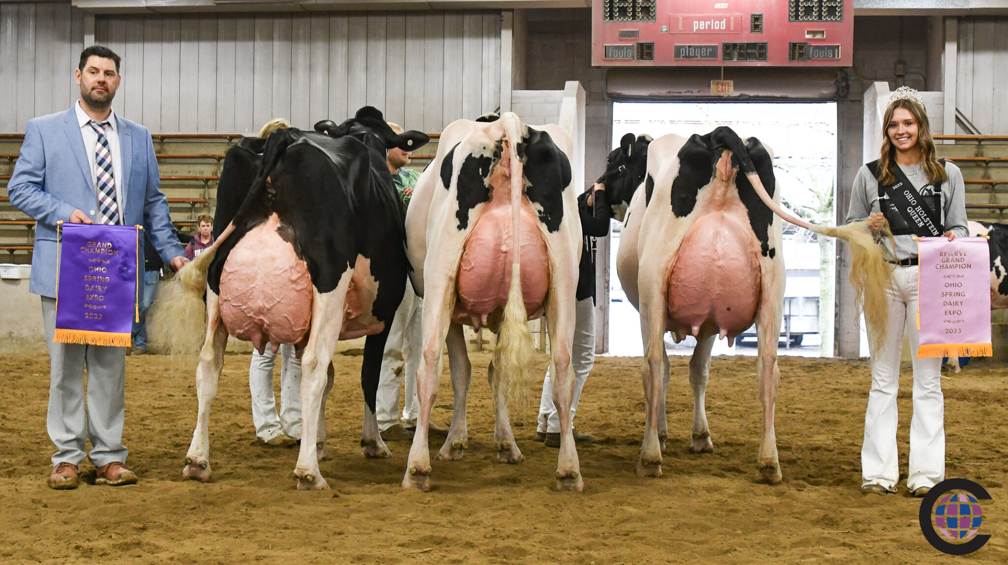 Holstein and Jersey Show Highlights From Spring Dairy Expo 2023 Cowsmo