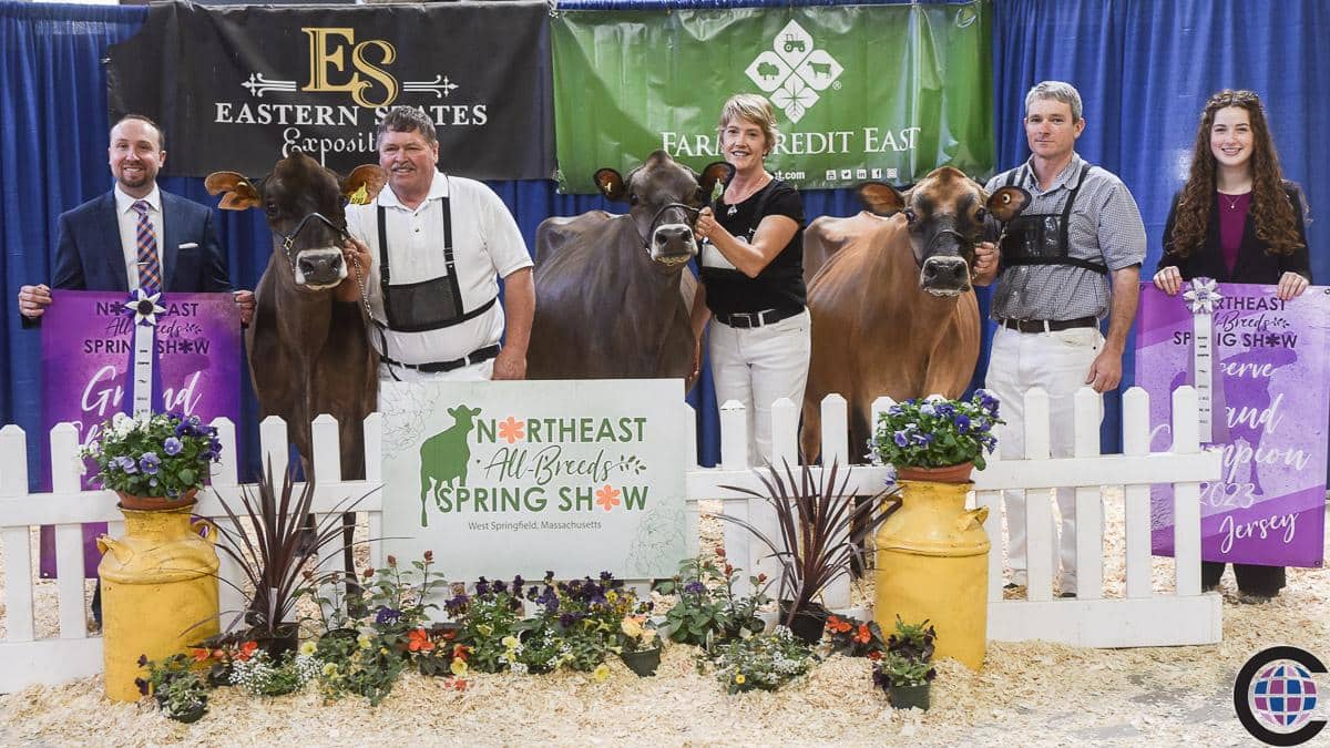 Massachusetts State Jersey Show 2023 - Cowsmo
