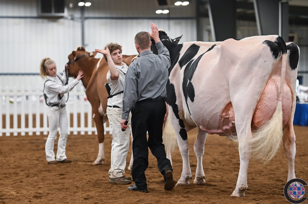 New York Spring Junior Jersey Show 2023 - Cowsmo