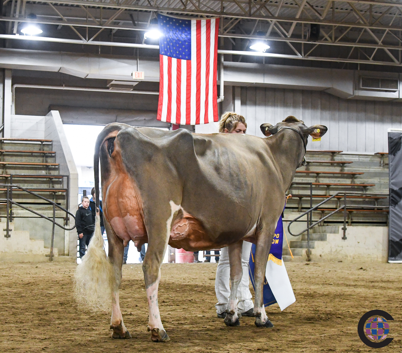 Holstein and Jersey Show Highlights From Spring Dairy Expo 2023 Cowsmo