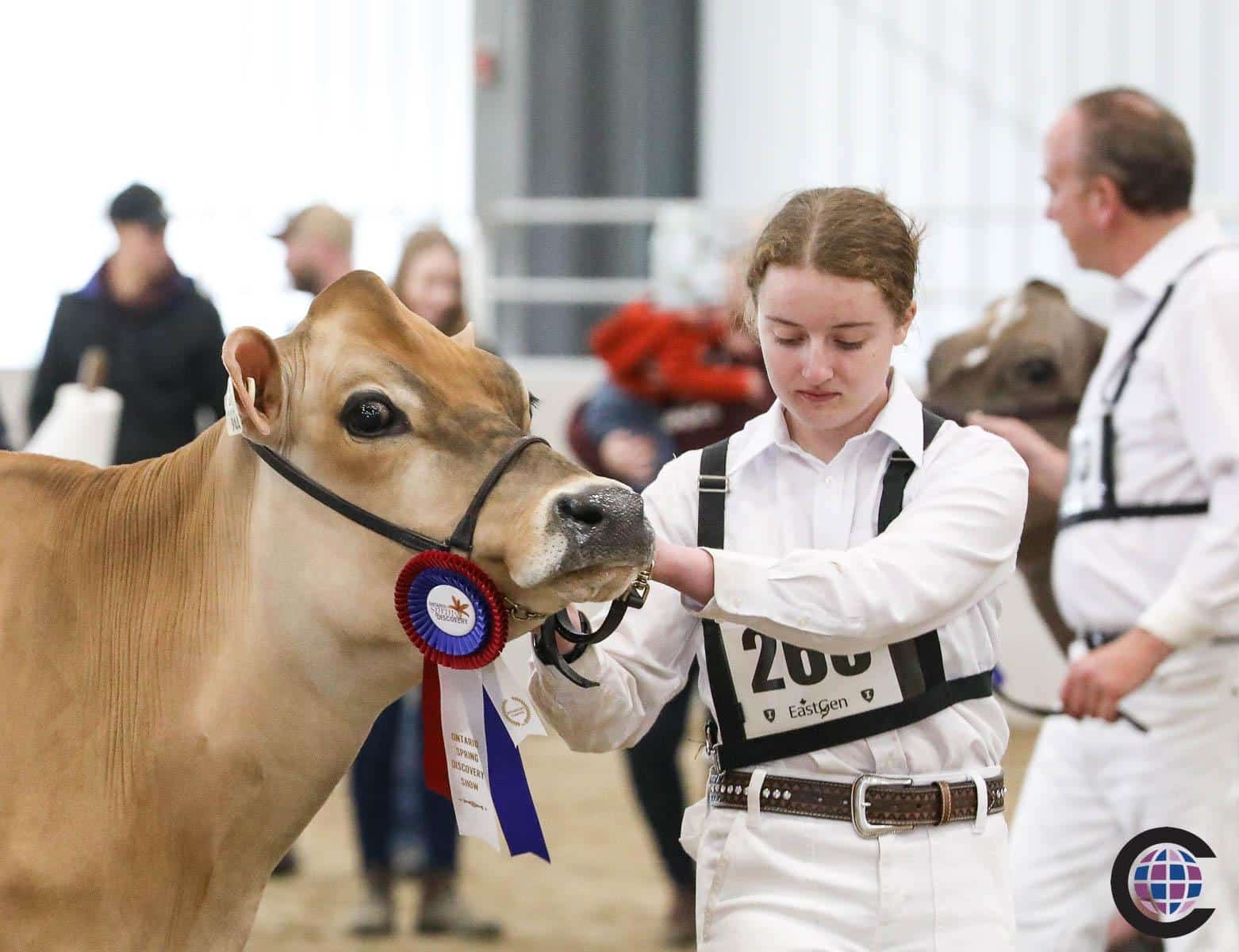 Ontario Summer Jersey Show 2023 - Cowsmo