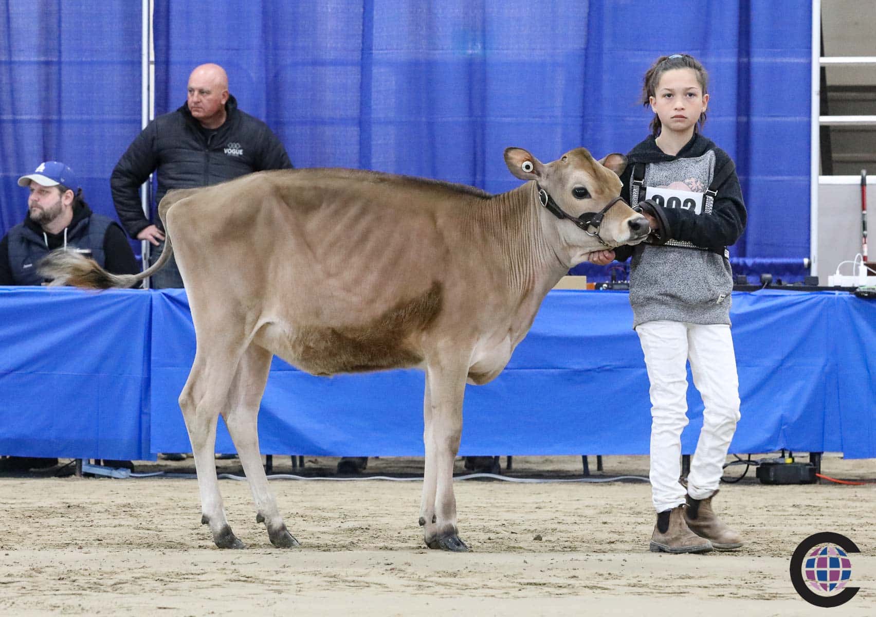 Ontario Summer Jersey Show 2023 - Cowsmo