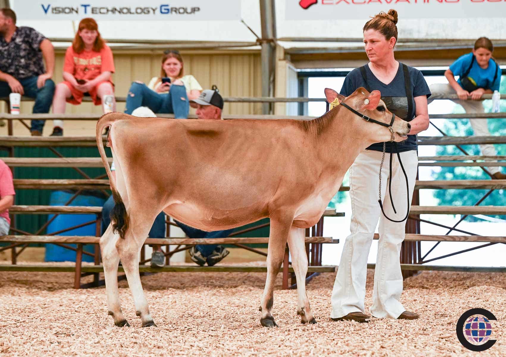 Ontario Summer Jersey Show 2023 - Cowsmo