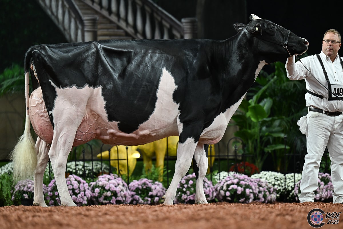 October 2023 (EN) (1) - Holstein International