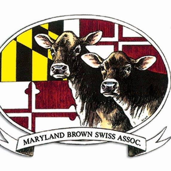 MidAtlantic Brown Swiss Invitational Show 2024