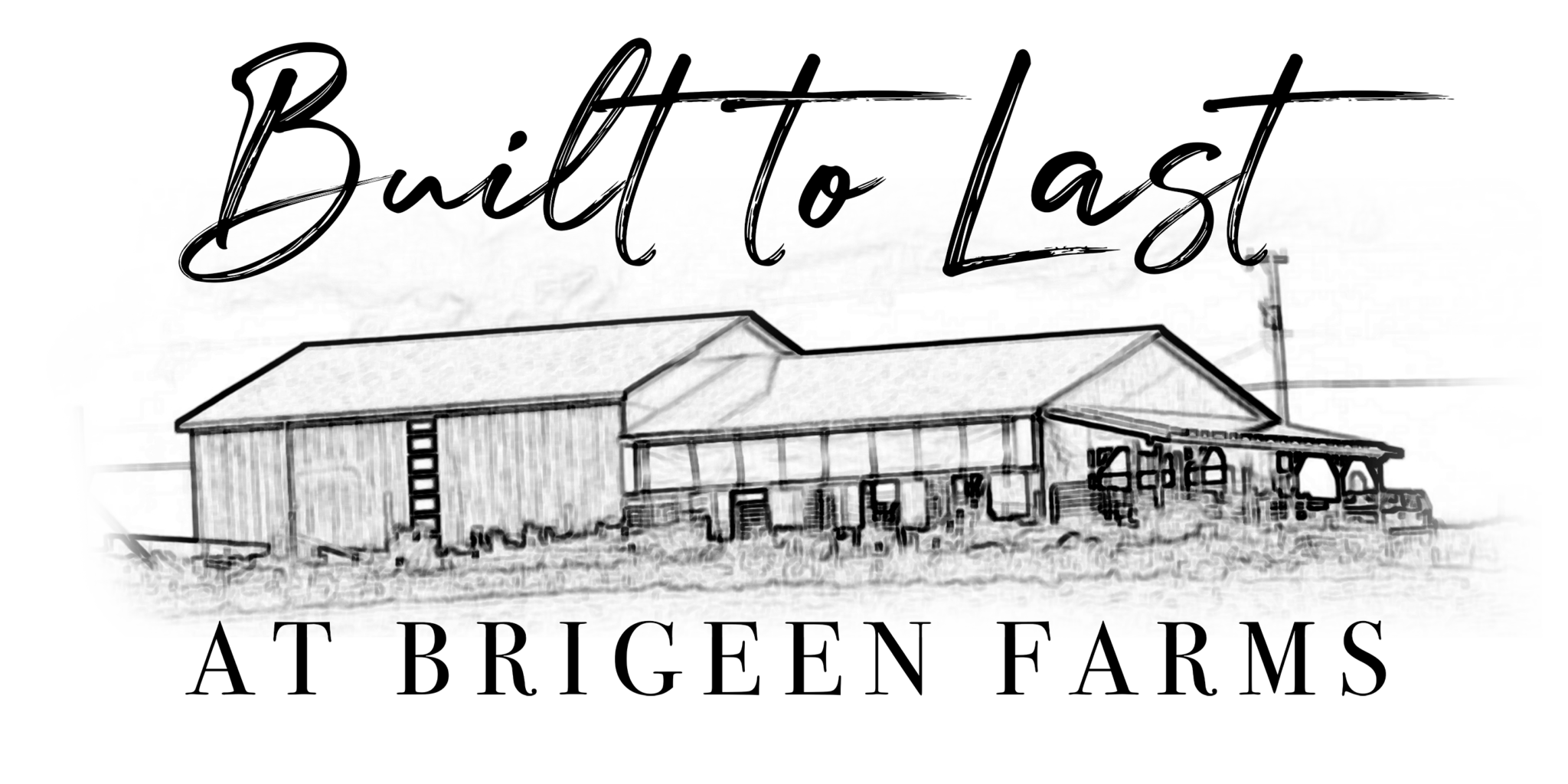 Built to Last at Brigeen Sale Averages 3,159 Cowsmo