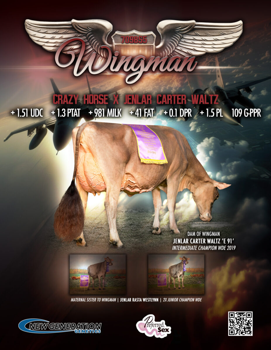 MidAtlantic Brown Swiss Invitational National Show 2025