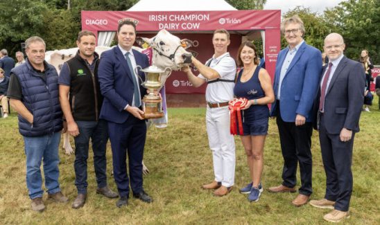 20/8/25
The 2025 Diageo Baileys Champion Dairy cow is Annaghmore Fitz Atlee EX96 at the 82nd Virginia Show. Minister for Agriculture Martin Heydon T.D. presents the Virginia Milk Products Cup to joint owners Philip and Linda Jones from Gorey Co Wexford and Clive Richardson and Joel Richardson from Co Armagh, with sponsors, John Murphy, Chairperson Tírlan and Shane Kelly, Corporate Relations Director Diageo Ireland.
Picture:  Finbarr O'Rourke
NO REPRO FEE