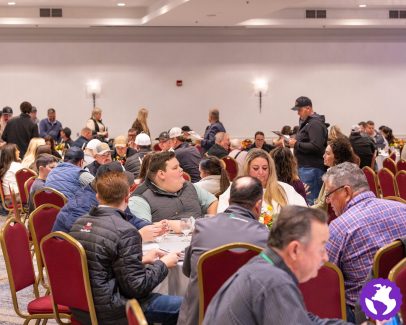 2026caholsteinsale-39