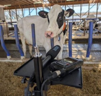 203948_web1_cows-and-recording-equipment-Mooanalytica_sn-964x1024