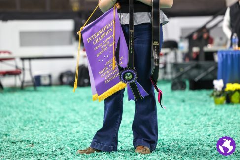 25NAILE-JrHolstein-0719