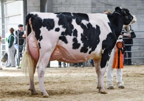44e03ab2-autumn-opportunity-0206 44e03ab2-autumn-opportunity-0206