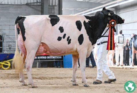 Autumn-Opportunity-2842