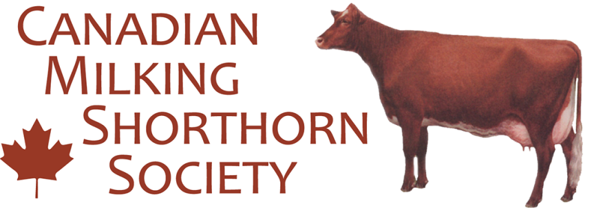 CMSS logo