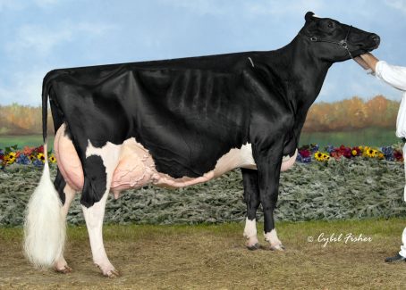 Cookview Goldwyn Monique wde 2013 Cookview Goldwyn Monique wde 2013