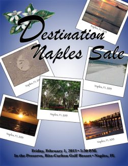 Destination Naples 2013 _cover Destination Naples