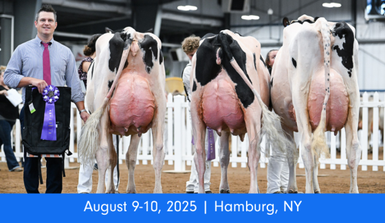 Erie County Holstein Show Erie County Holstein Show