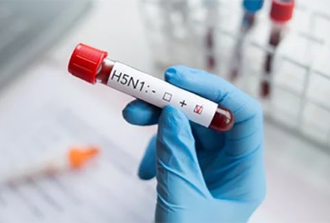 H5N1_lead