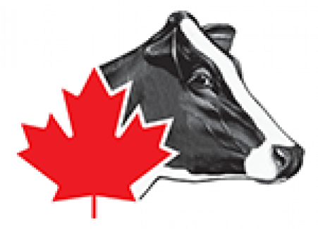 Holstein Canada logo