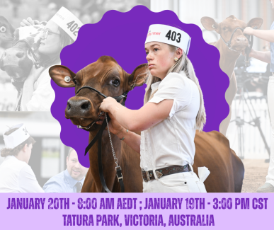 IDW Ayrshire Show 1.2026