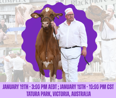 IDW Red & White Show 1.2026