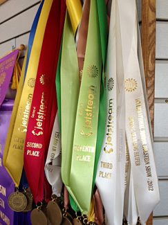 Jetstream Genetics sponsors the neck ribbons and medallions for WDE's International Holstein Show and International Red & White Show.  This collection of ribbons, from last year's show, was earned by Siemers Holsteins, Wis.