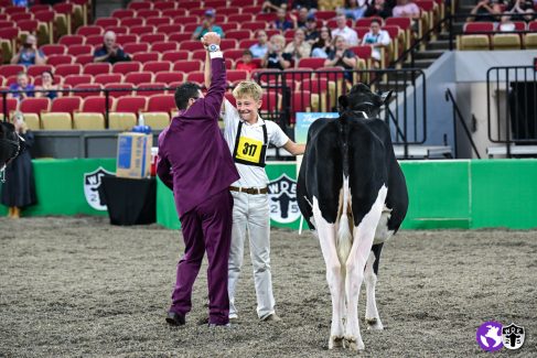 KP-WDE25-Showmanship4324 KP-WDE25-Showmanship4324