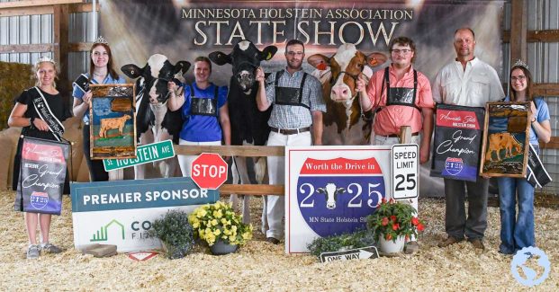 MN Holstein-9874