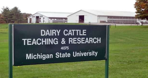 MSU