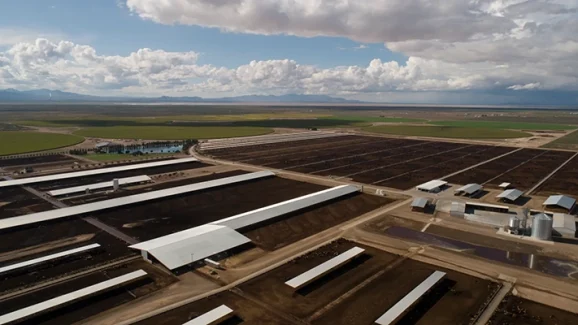 Mega dairy