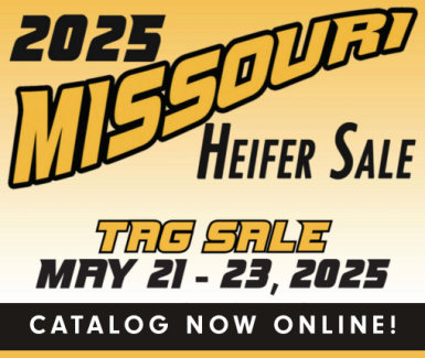 Missouri Heifer Sale 2025 Missouri Heifer Sale 2025
