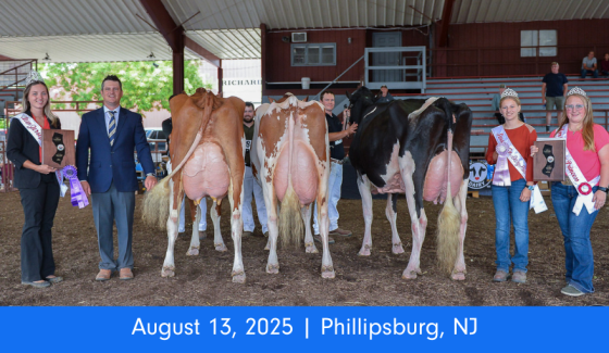 NJ State Holstein Show NJ State Holstein Show