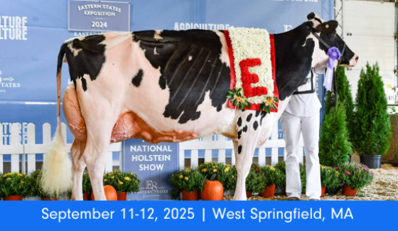 Northeast Fall National Holstein Show Northeast Fall National Holstein Show