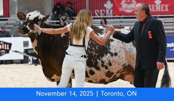 Royal Agricultural Winter Fair