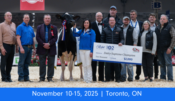 Royal Agricultural Winter Fair (2)