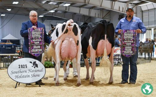 SN-Spring-Show-2025-4362 SN-Spring-Show-2025-4362