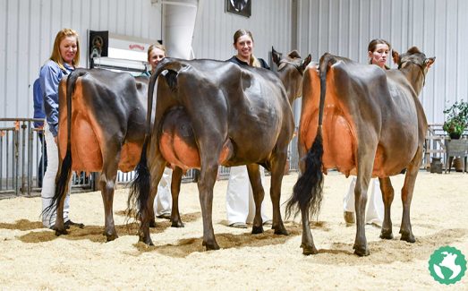 SN-Spring-Show-2025-4522